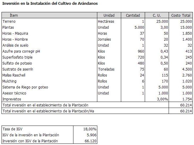 http://proyectosperuanos.com/wp-content/uploads/2017/01/arandanos_inversion_una_ha.jpg
